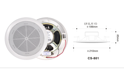 噴塑鋼網吸頂喇叭（6W/10W） CS-801