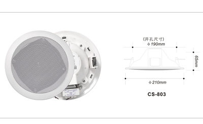 帶后罩天花喇叭（6W/10W）CS-803