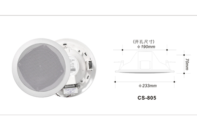 帶后罩天花喇叭（6W/10W）CS-805