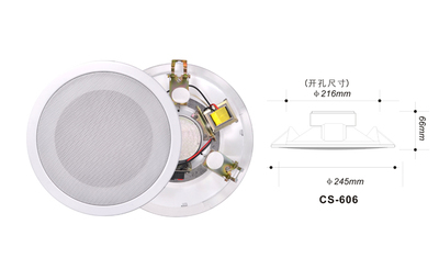 全鐵一體化吸頂喇叭（6W/10W） CS-606