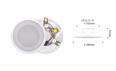 全鐵一體化吸頂喇叭（3W/6W）CS-604