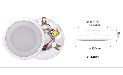 全鐵一體化吸頂喇叭（6W/10W） CS-601