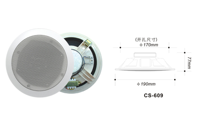 噴塑鋼網(wǎng)吸頂喇叭（6W） CS-609